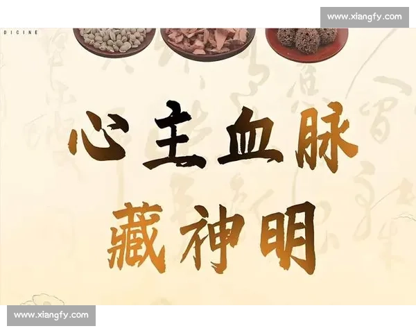 围绕以前腰为中心深入探索人体动力与平衡运行奥秘全景之旅篇章录